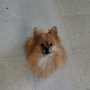 Meet your Posher, Jeannette